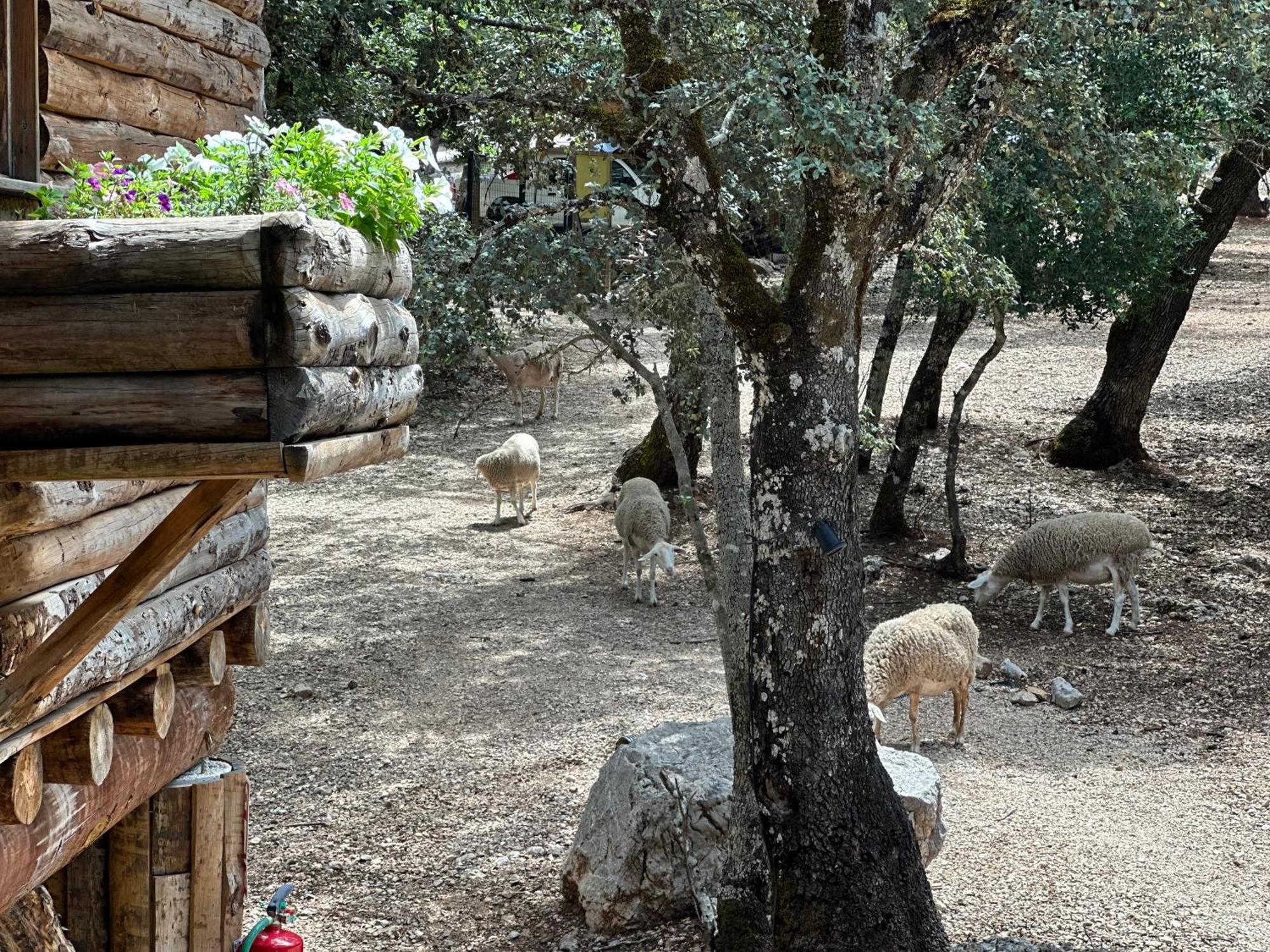 Hotel Rural Convento Santa Maria De La Sierra อาร์โรโยฟรีโอ ภายนอก รูปภาพ